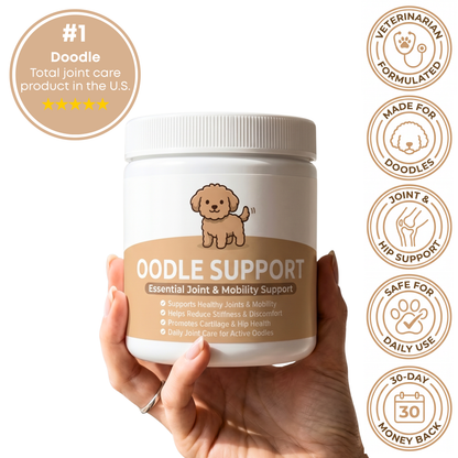 Oodle Support
