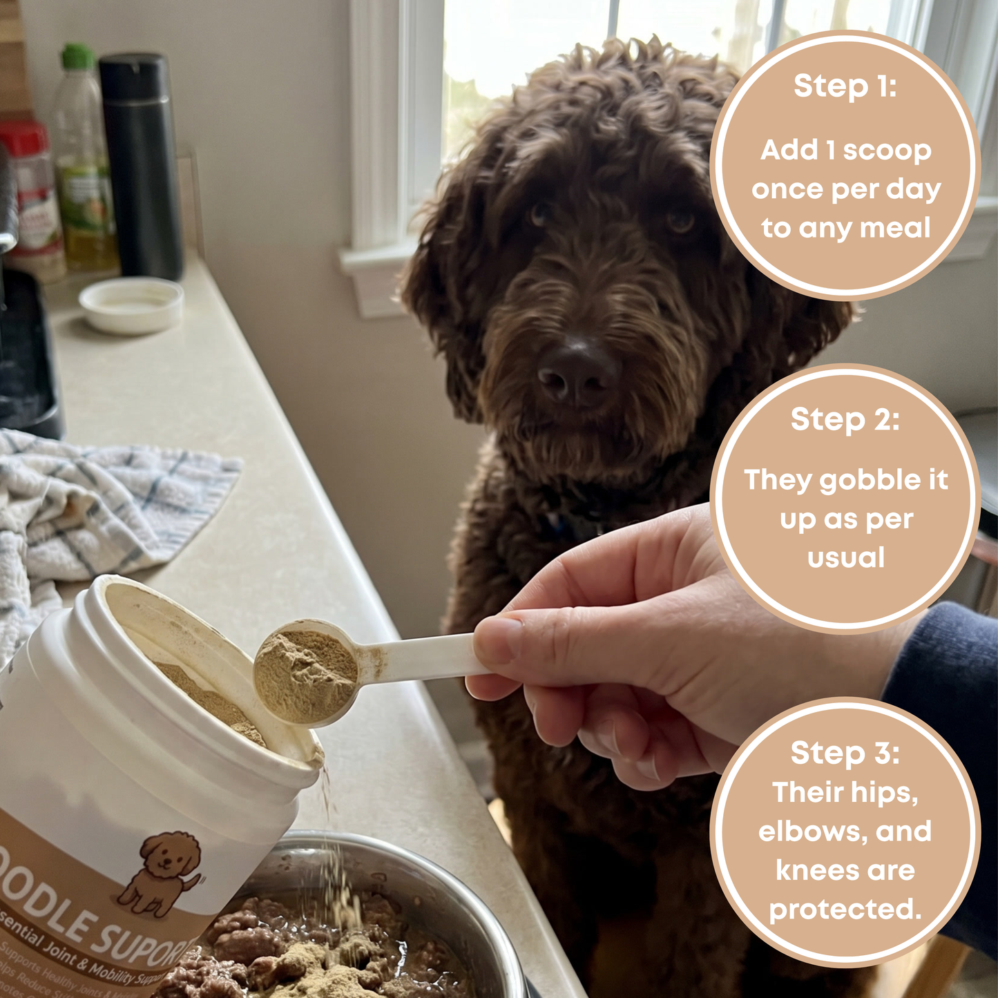 Oodle Support