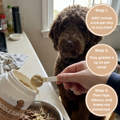 Oodle Support