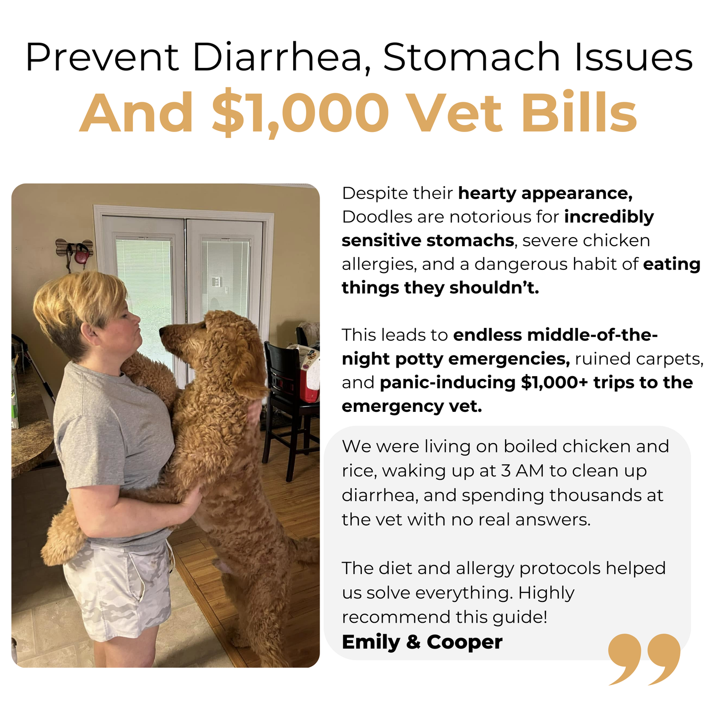 The Complete Goldendoodle Guide