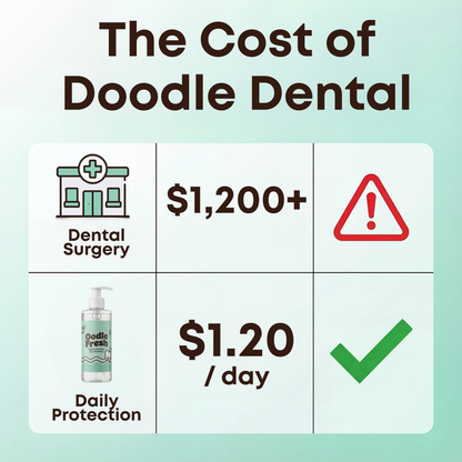 Oodle Fresh