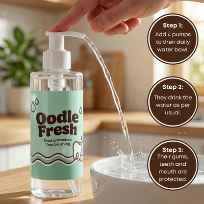 Oodle Fresh