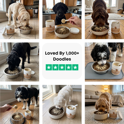 Oodle Support
