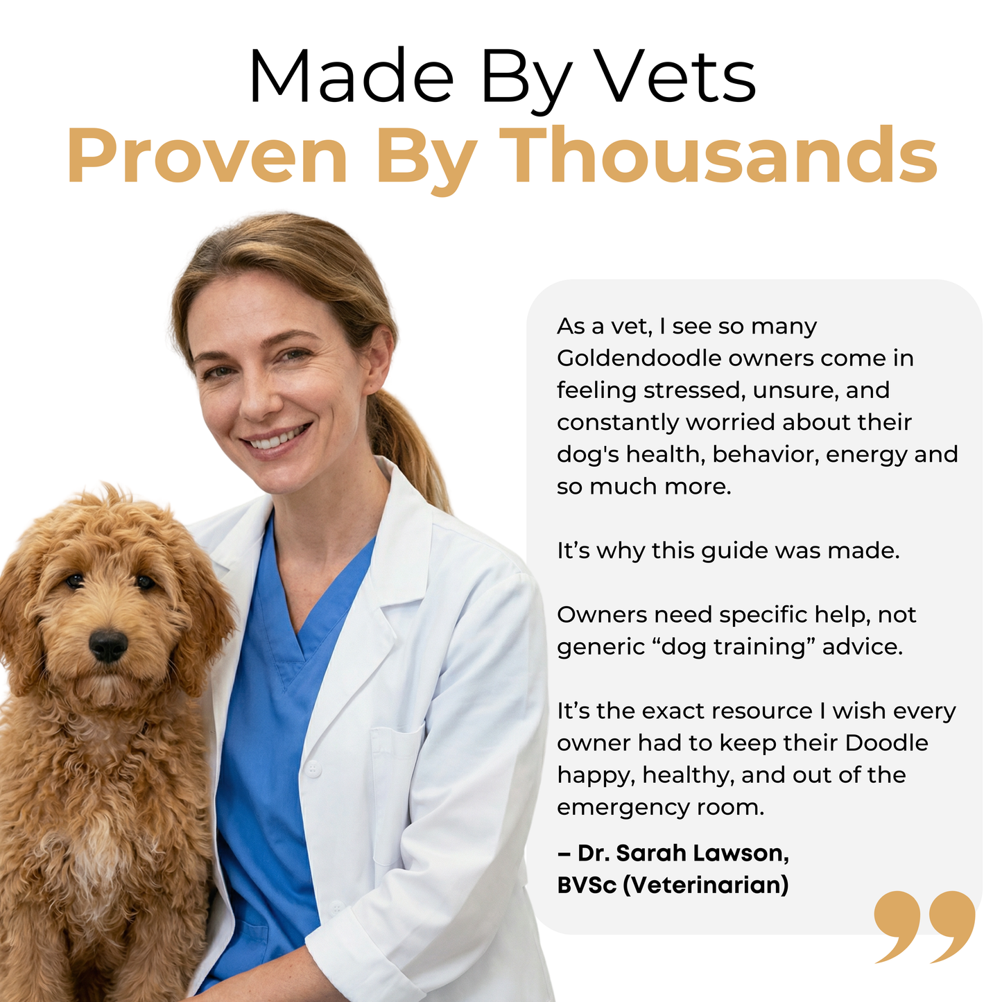The Complete Goldendoodle Guide