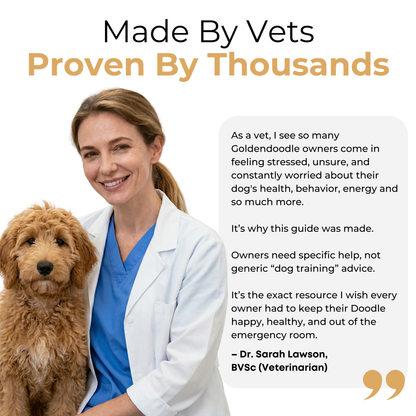 The Complete Goldendoodle Guide
