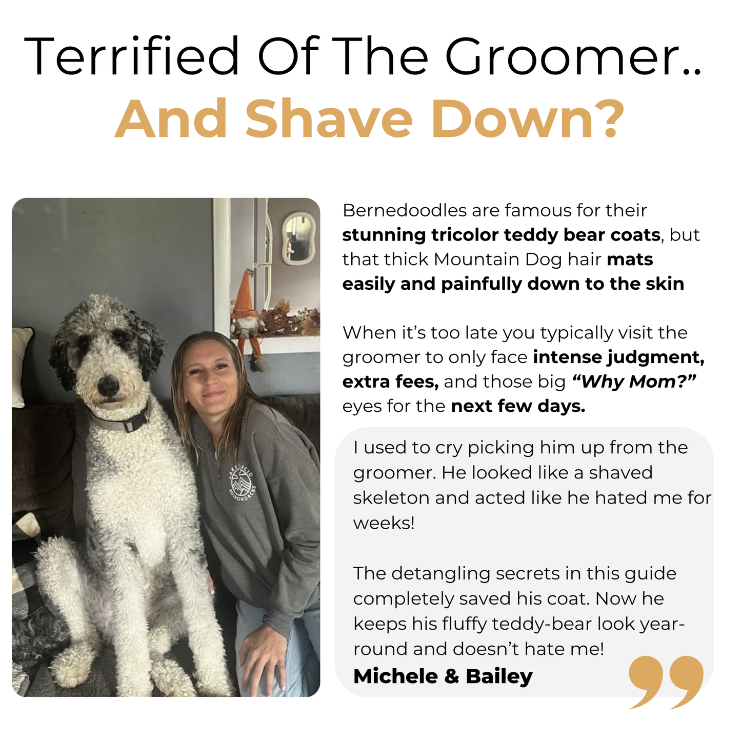 The Complete Bernedoodle Guide