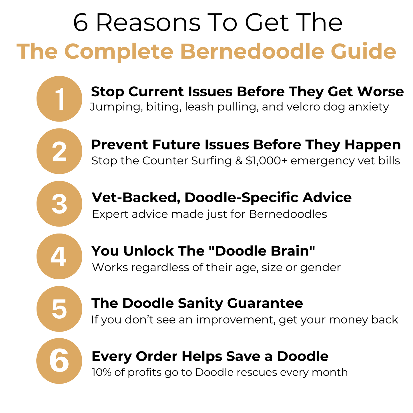 The Complete Bernedoodle Guide