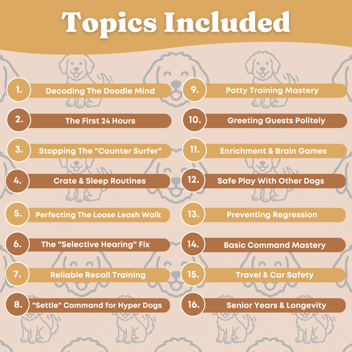 The Complete Bernedoodle Guide