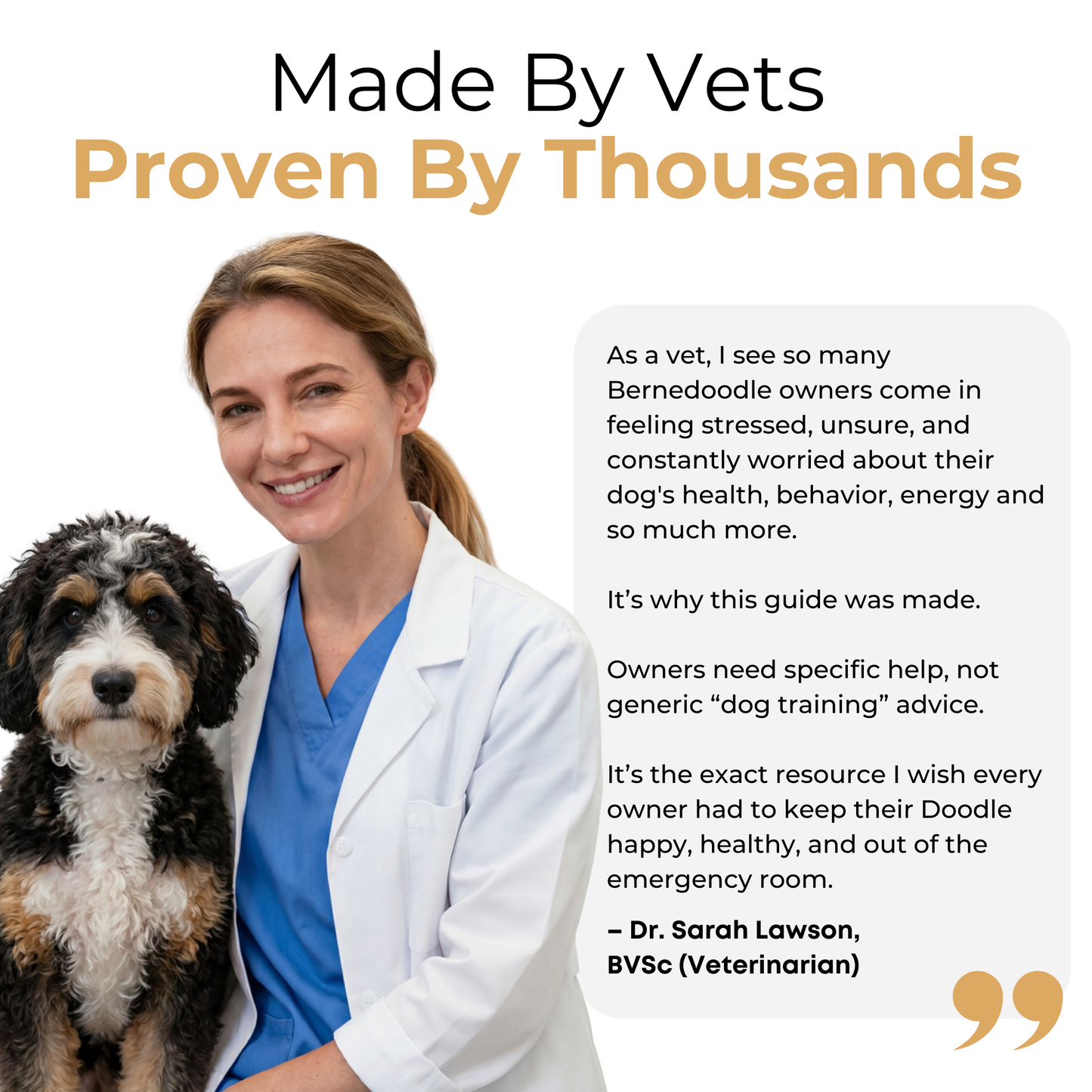The Complete Bernedoodle Guide