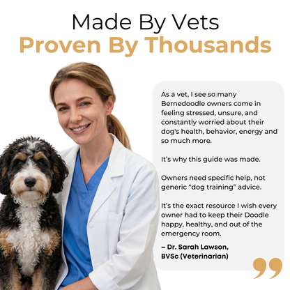 The Complete Bernedoodle Guide
