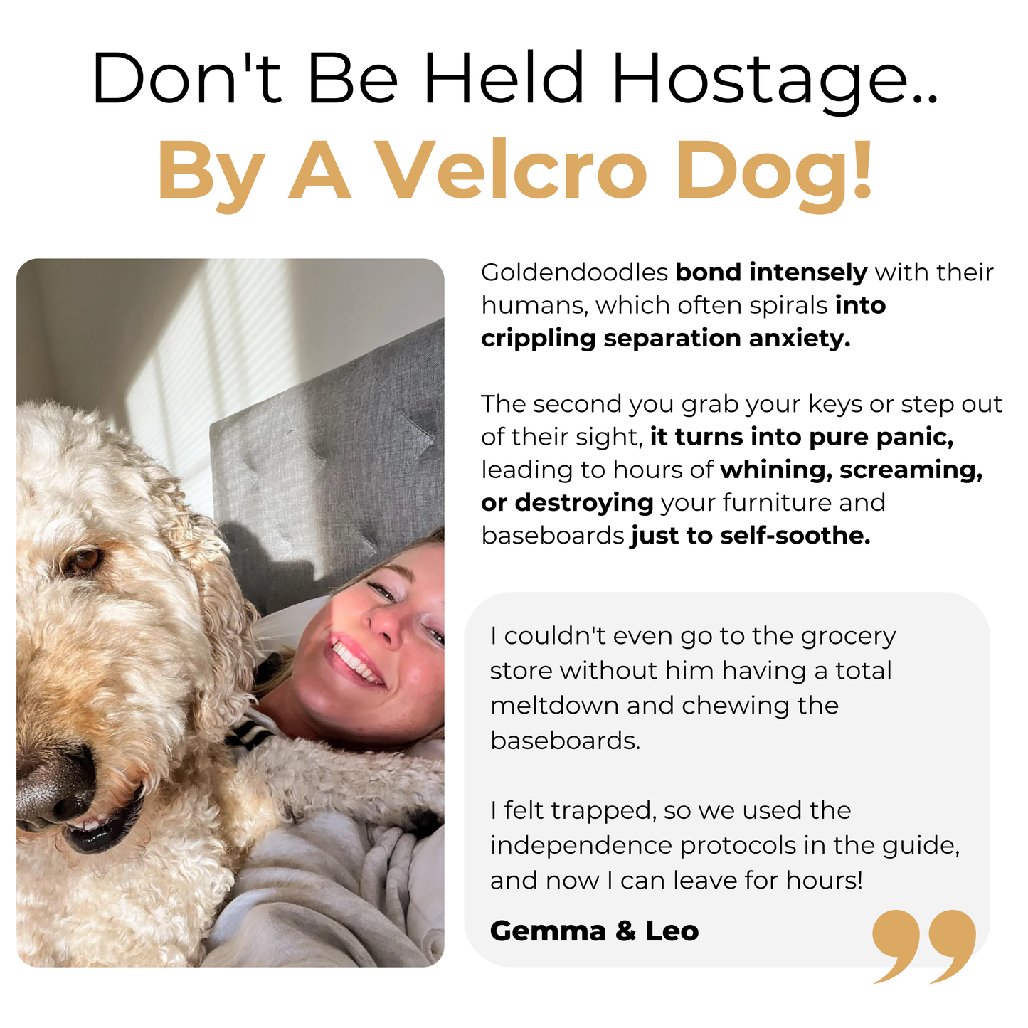 The Complete Goldendoodle Guide