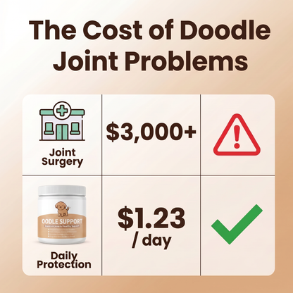 Oodle Support