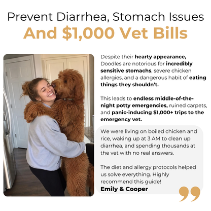The Complete Labradoodle Guide
