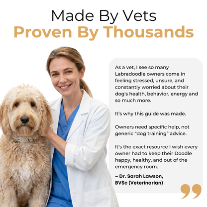 The Complete Labradoodle Guide