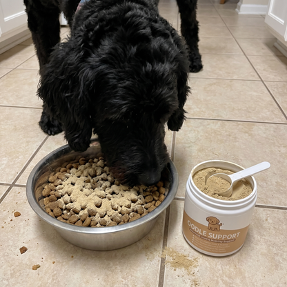 Oodle Support
